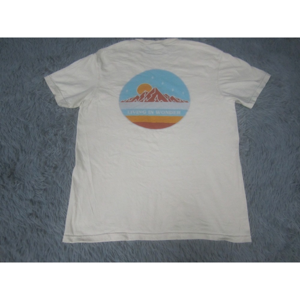 Mens Shirt Medium Lot of 9 Short and Long Sleeve Graphic Print Dickies Hollister - Picture 13 of 16